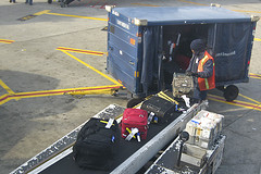 Baggage Handler: I Was Fired For Helping Sick Dog