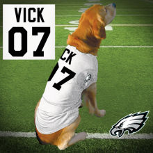 Personalized Jerseys Available For Michael Vick's Canine Fans, If He Has Any