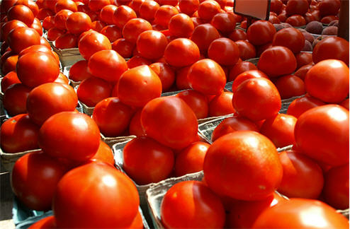 FDA: Go Ahead And Eat Tomatoes, We Give Up