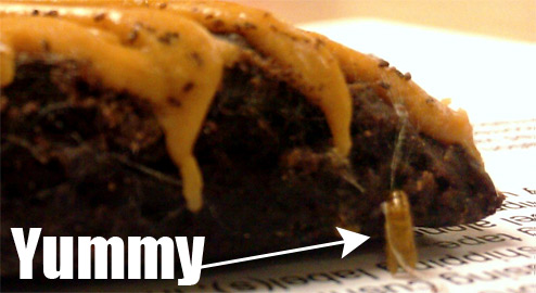 Man Finds Meal Worms In Reese's Brownie, After Taking Big Bite