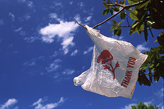 Student Group Tells Santa Fe To Ban Plastic Bags To Help "Everybody In The Universe"