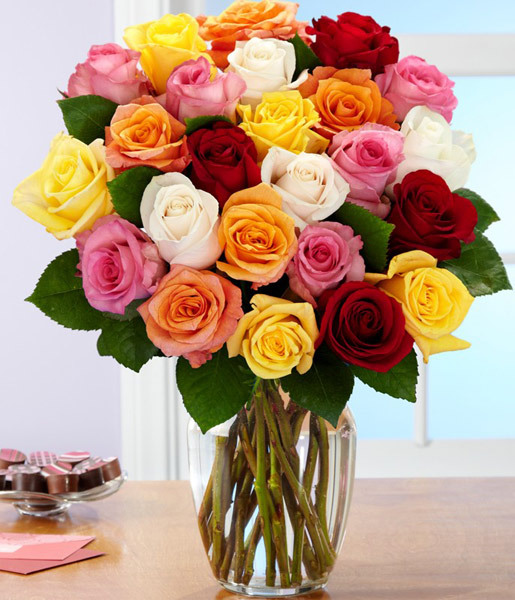 2-dozen-rainbow-roses