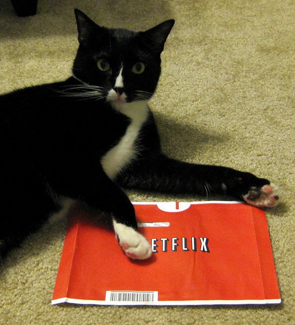 Should Netflix Crack Down On Account-Sharing Freeloaders?