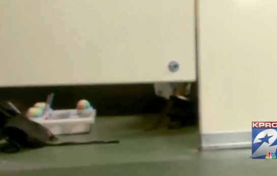 VIDEO: Stadium Vendor Takes Sno-Cones With Him Into Bathroom Stall