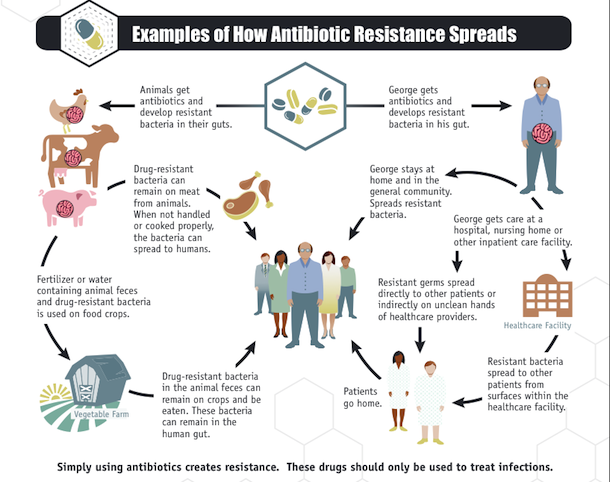 CDC: 2 Million Americans Get Sick From Antibiotic-Resistant Infections Every Year