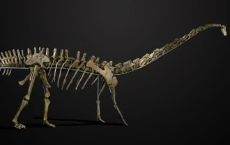 Oh Heck Yes: You Can Buy A Dinosaur Skeleton If You’ve Got $640,000 Or So To Spare