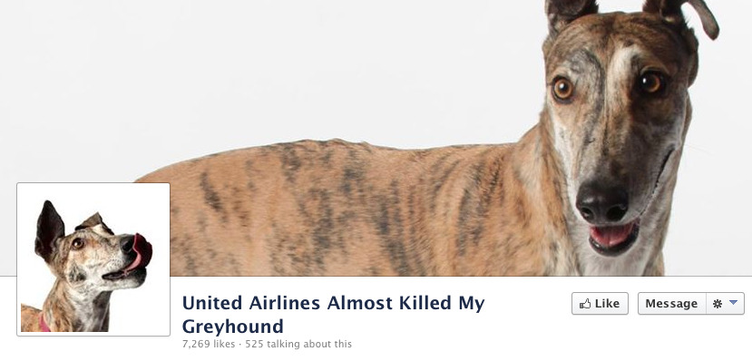 The Facebook page the dog-owner made after United asked her to sign a non-disclosure agreement.