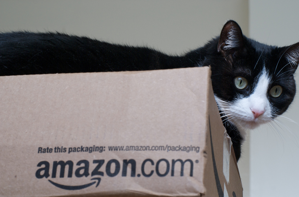 Amazon Reportedly Working On New Shipping Service That Turns Ordinary People Into Couriers