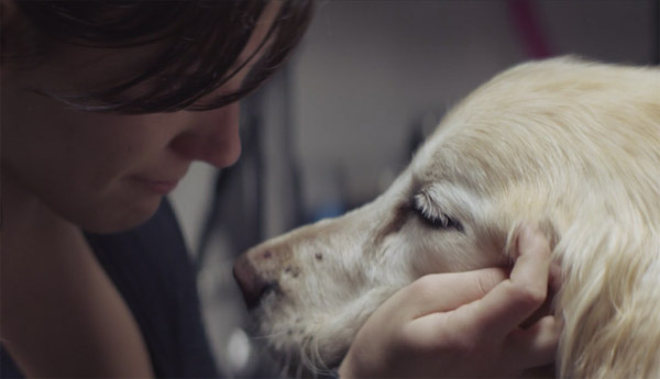 Chevrolet Commercial Makes Dog Lovers Sad, Doesn’t Sell Cars: Is It Real?