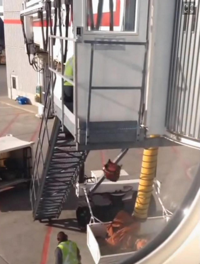 Airline Apologizes For Baggage Handlers Caught Dropping Luggage From Height Of 20 Feet