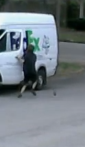These Dogs Are Totally Amused By FedEx Guy Chasing After His Runaway Truck