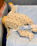 CPSC: Sixth Infant Death Linked To Recalled Nap Nanny Recliner