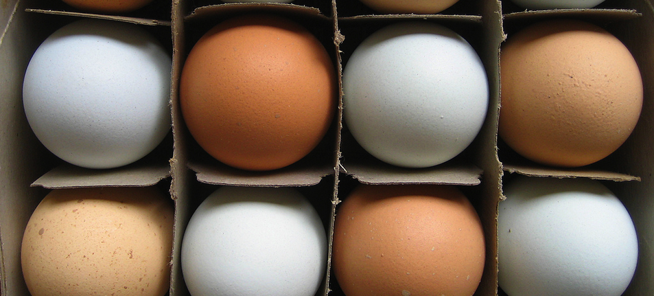 Target Will Sell Only Eggs From Cage-Free Hens By 2025