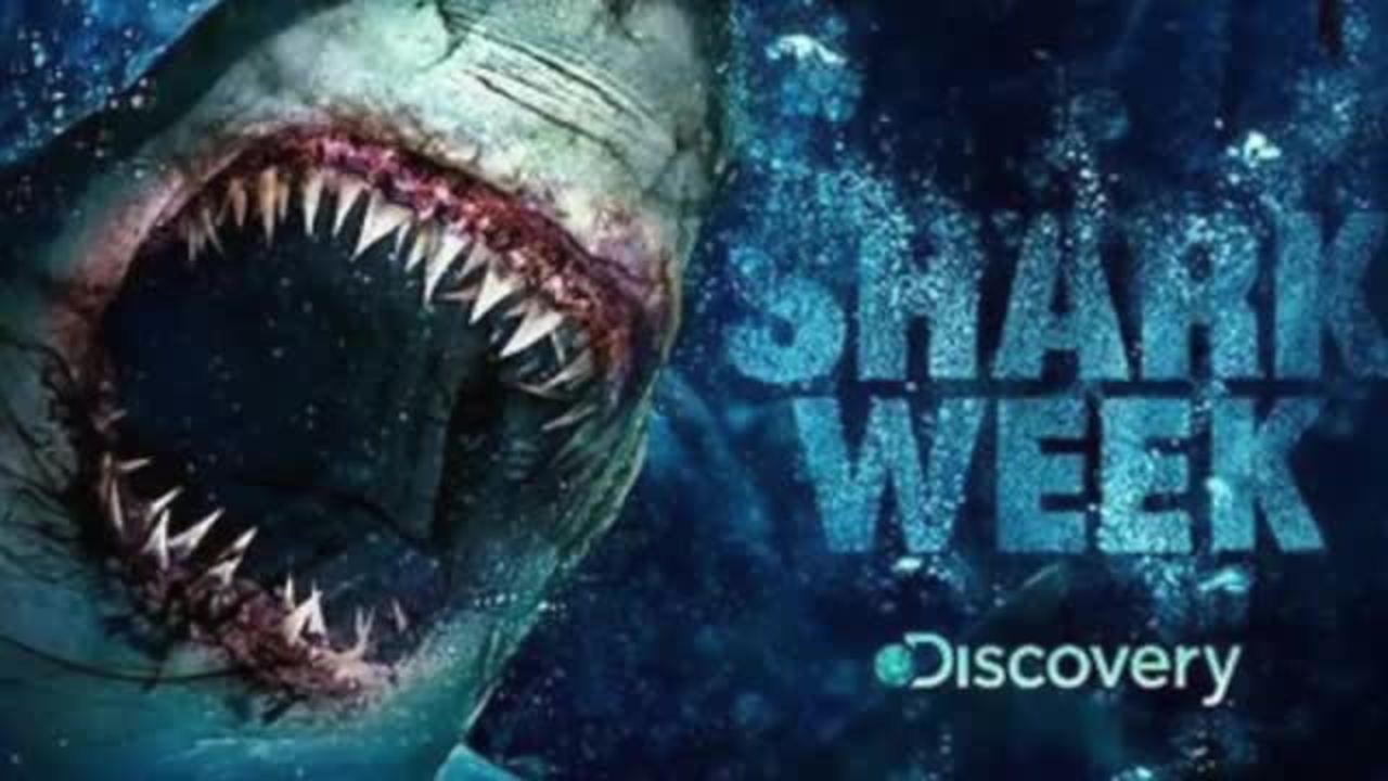 Discovery Not Afraid of Sharks Or Comcast; Comes Out Against Merger