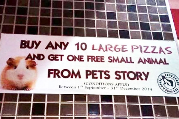 Pizza Hut Australia Is Not Handing Out Free Hamsters With Purchase