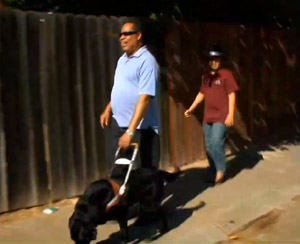 Restaurant Kicks Out Blind Man And Service Dog, Gets Schooled On ADA