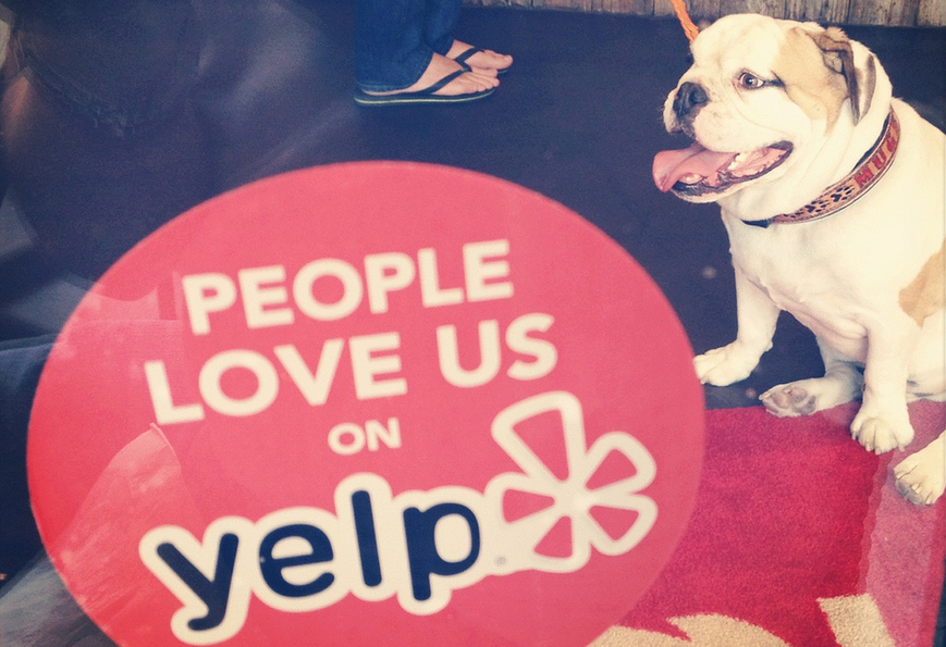Obedience School Sues Yelper For $65K Over Negative Review