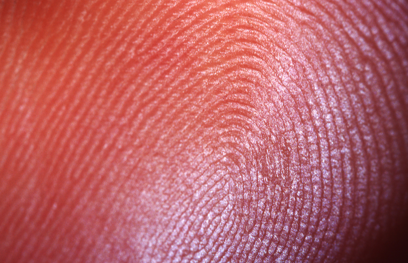 Flaw In Android Device Sensor Leaves Users’ Fingerprints Vulnerable To Theft