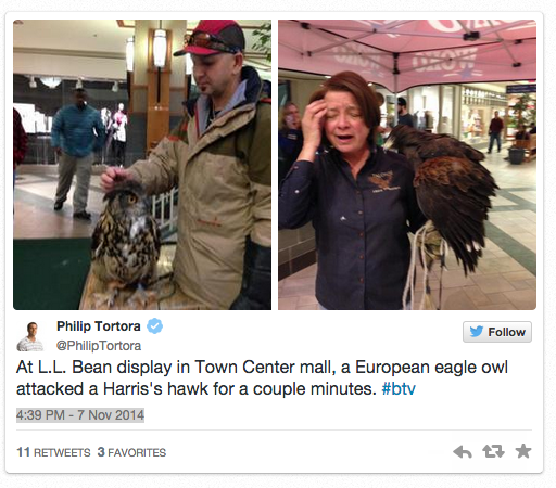 L.L. Bean Learns Nature’s Lesson The Hard Way When Event Featuring Two Birds Of Prey Goes Awry