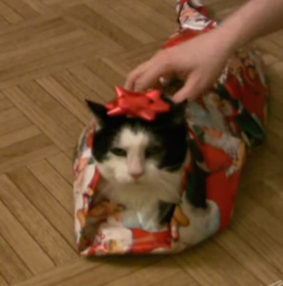 A Holiday Classic For Our Time: How To Gift-Wrap A Cat