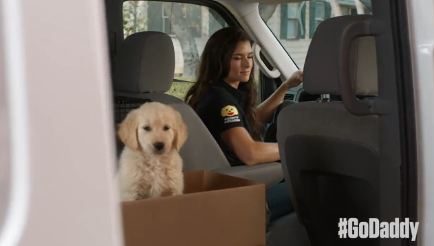 GoDaddy Pulls Super Bowl Ad Featuring Danica Patrick Amid Puppy Mill Complaints