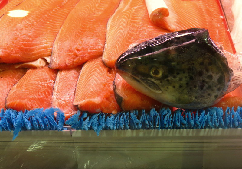 FDA Signs Off On Genetically Modified Salmon Without Labeling