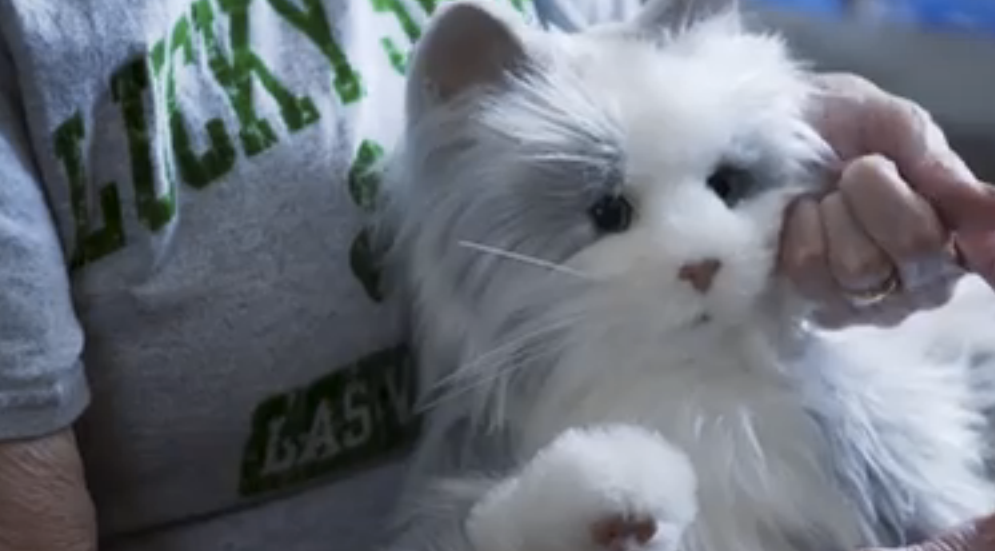 Hasbro’s Latest Venture Brings Toy Cats To Life To Be Companions To The Elderly