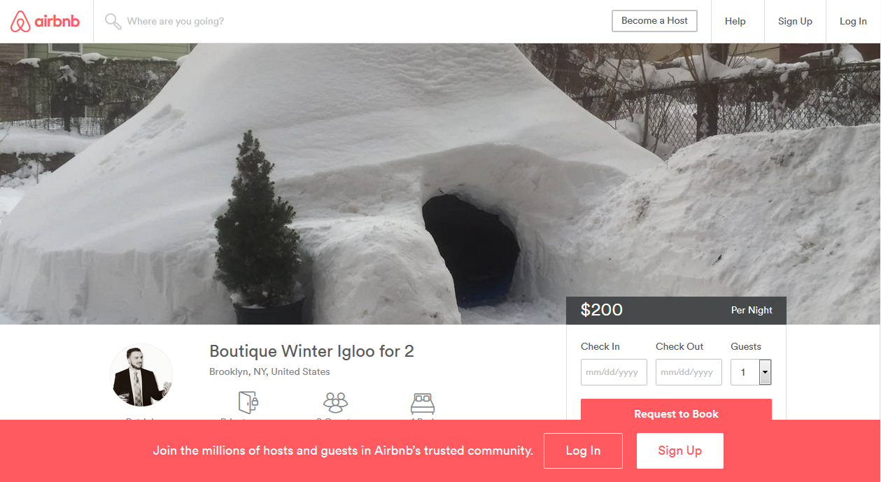For A Brief, Glorious Moment, An Igloo In Brooklyn Was Listed On Airbnb