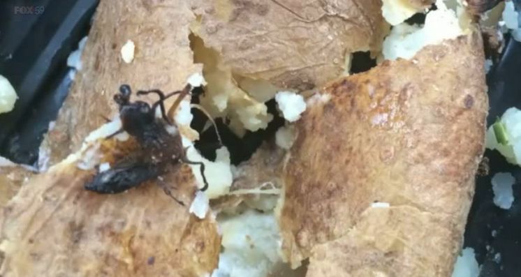 Wendy’s Customer Says She Found Bugs In Baked Potato; Restaurant Says They Are Sprouts