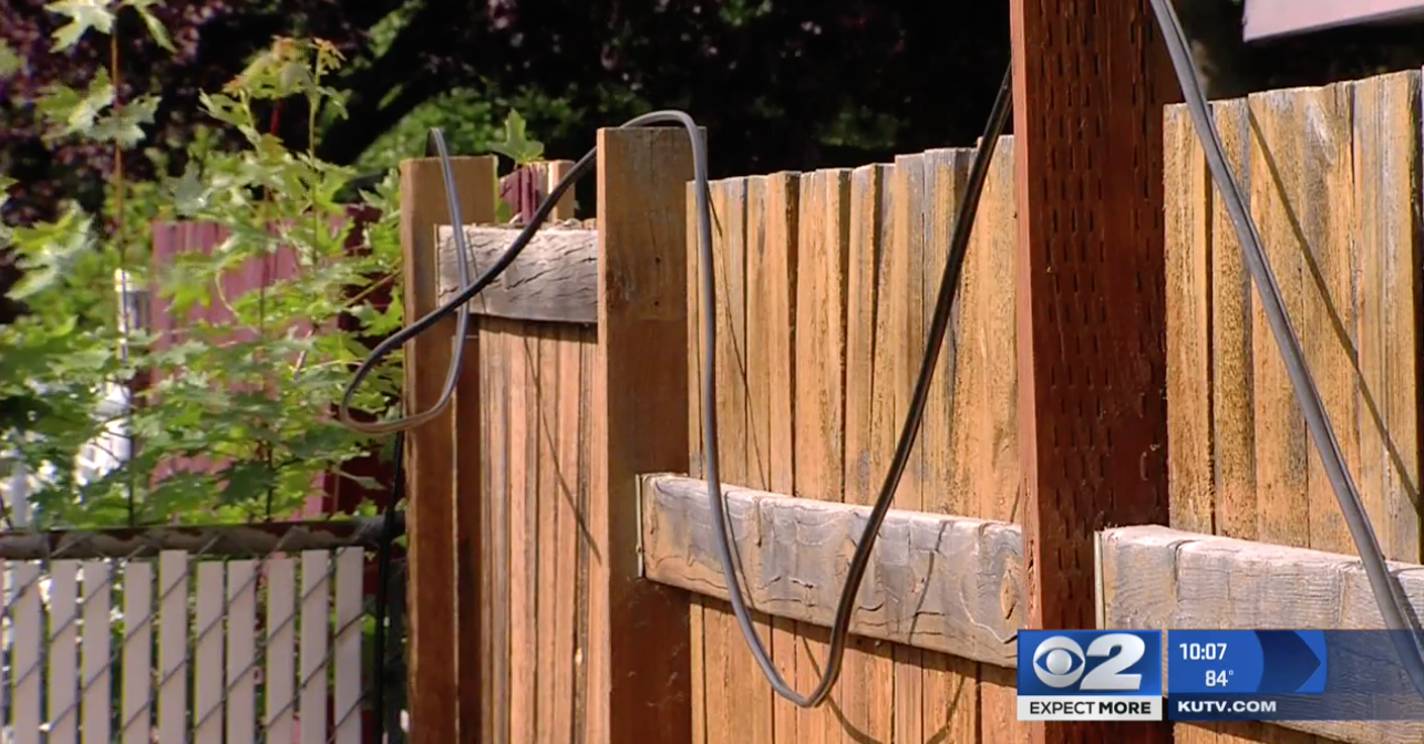 Comcast Leaves Cable Dangling In Back Yard Of Non-Customer For More Than 2 Years