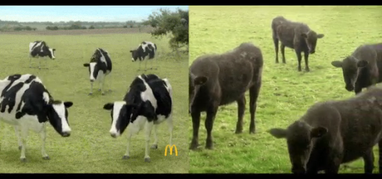 McDonald’s Accused Of Copying Animator’s Work For Ad Featuring Dancing Cows