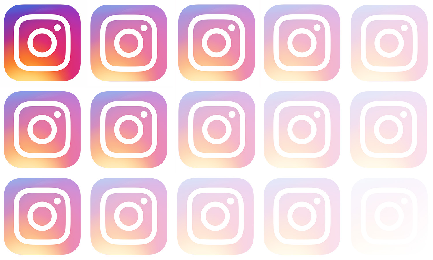 All Of My Instagram Photos Have Disappeared. What Now?