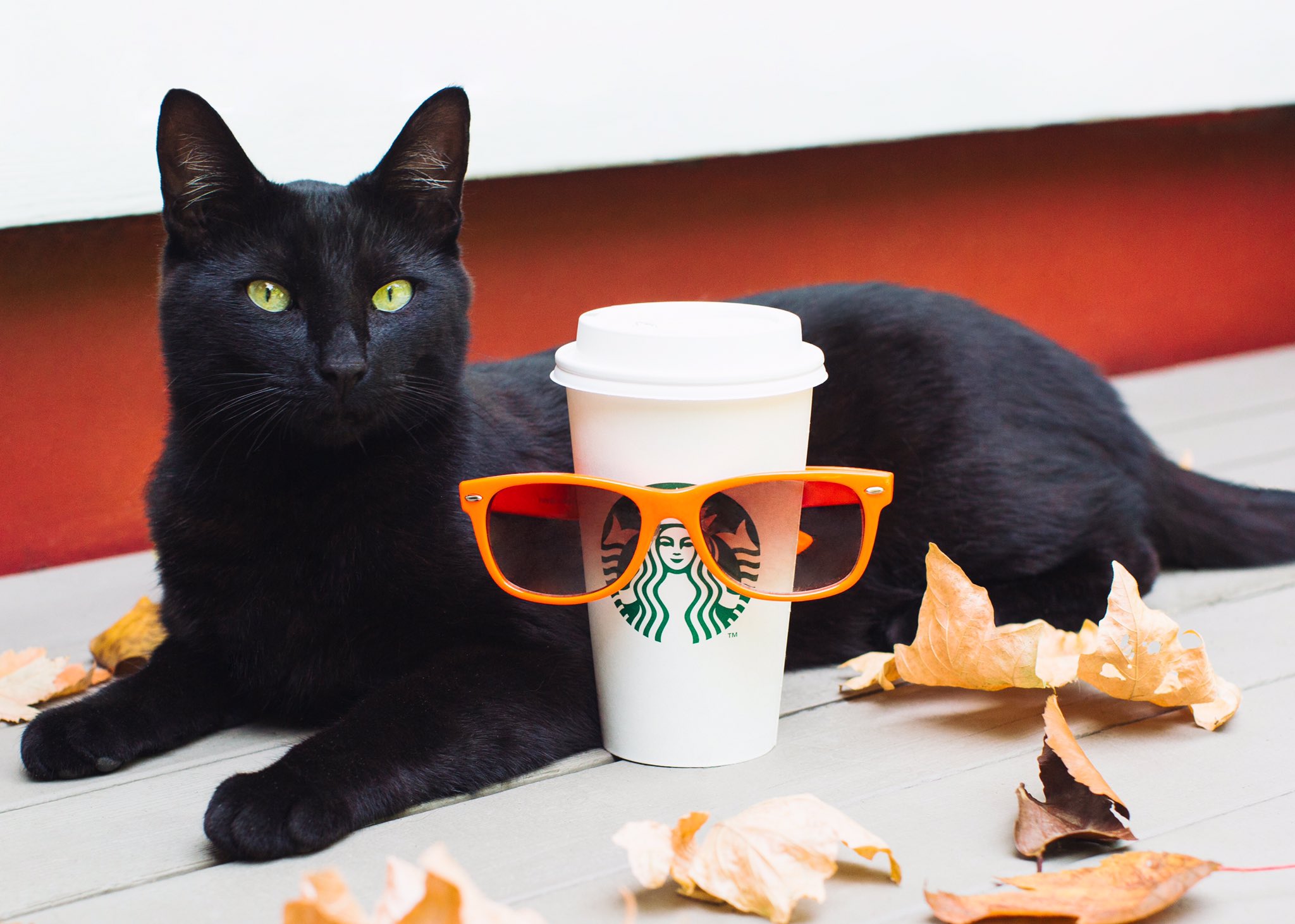 The Starbucks Pumpkin Spice Latte Doesn’t Really Come Back Earlier Every Year
