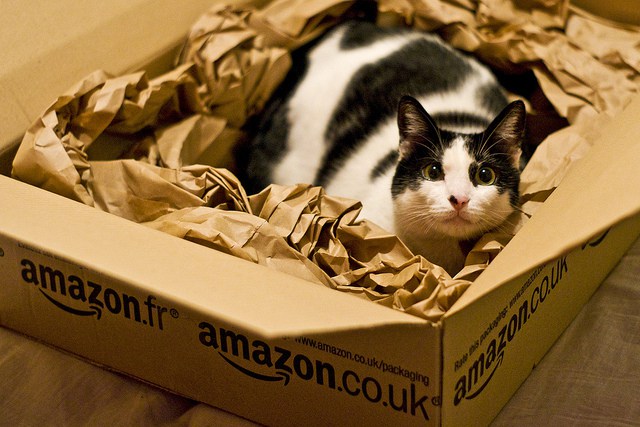 Sveva vs. Amazon box