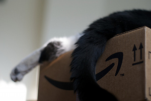 Amazon Sues North Carolina, Says It Won't Divulge Customer Names