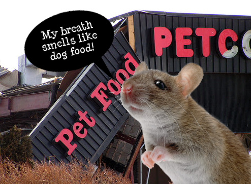 U.S. Marshals Raid Rat-Infested PETCO Distribution Center