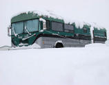 Greyhound Abandons 60 Passengers In Seattle, Locks Up For The Night