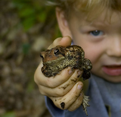 Good News,That Dead Mouse In Your Diet Pepsi Was Actually A Toad