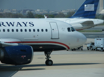 Animals Are Attacking US Airways, Run For Your Lives