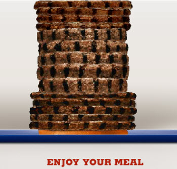 Behold The 6880 Calorie Burger King Tower Of Meat