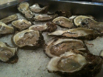 Oh My God Is The Oil Spill Going To Mess Up The Oysters?
