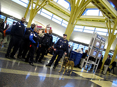 TSA Testing Less-Revealing Full-Body Scanner Software