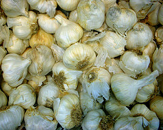 Hiding 9.5 Tons Of Stolen Garlic From Police Noses Proves Not So Easy For Suspects
