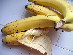 Deadly Fungus Could Eat Up All The Bananas Before You Can Buy Them