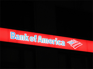 So What You're Saying Is Bank Of America Is Basically Powerless To Stop Credit Card Fraud?
