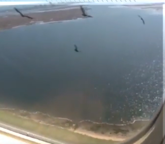 FAA Scolds Passenger For Using iPad To Shoot Video Of Bird Strike