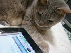 E-Readers Getting Rolled Under Tablet Juggernaut