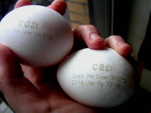 CBS Poops Out CSI Eggvertising