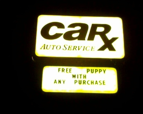 CarX Auto Service Will Change Your Oil, Give You A Puppy