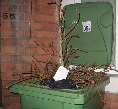 Recycle Your Xmas Tree